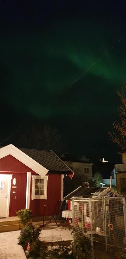 Nydelig Hytte I Kabelvag Lofoten Экстерьер фото